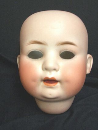 Huge Antique German Bisque Doll Head,  Heubach With Wobbly Tongue