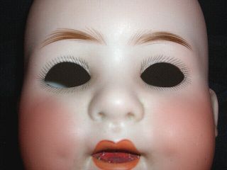 Huge Antique German Bisque Doll Head,  Heubach with Wobbly Tongue 2