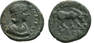 Ancient Rome 222 - 235 Ad Troas Alexandria Julia Mamaea Augusta Grazing Horse