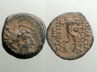 Alexander Ii Zabinas Bronze Ae18_seleukid Empire_double Cornucopia