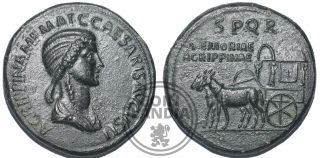 Æ Sestertius Agrippina Senior Roman Empire 37 - 41 Ad Bronze Coin Novelty Strike