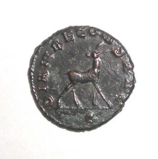 Ancient Roman Empire,  Gallienus,  253 - 268 Ad.  Ae Antoninianus.  Doe
