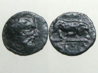 Atrax Thessaly Bronze Ae10_ancient Greece_butting Bull & Head Of Atrax