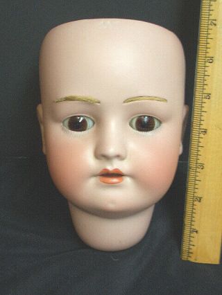 Lge Antique German Heinrich Handwerck,  S&h Doll Head