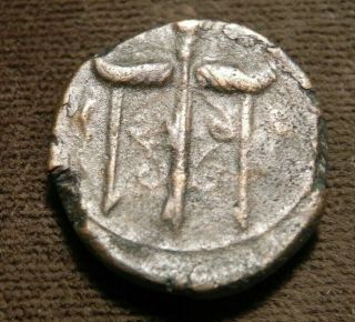 274 - 216 Bc Greek Sicily Syracuse Heiron Ii Ae Bronze