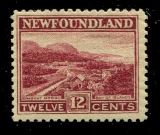 Newfoundland 141 Sg 159 Mh F/vf 12c 1923 - 24 Issue [n4761] Cv=$8.  25