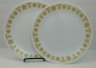 Corelle Dinner Plates Butterfly Gold 10 1/4 " Set Of 2