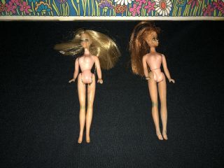 Vintage 1970s Dawn & Her Friends Doll Carrying Case (Long) & 2 1970 Topper Dolls 3