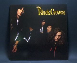 The Black Crowes " Shake Your Money Maker " 1990 Record Store Cardboard Album Flat
