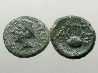 Sestos Thrace Bronze Ae11_ancient Greece_hermes & Tortoise Shell Lyre