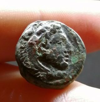 Ancient Greece Ae Macedonia Alexander The Great Lifetime Issue 336 - 323 Bc