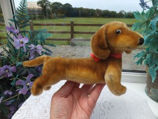 Vintage Antique Big Steiff Hexie Dachshund Ear Button Tag Mohair Toy Sausage Dog