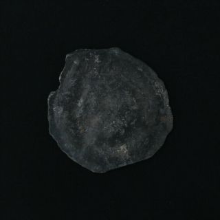 Ancient Celtic Coin Rare Leuci Lily Bronze 8020 Potin 17 Belgium Gual