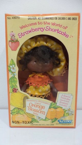 Vintage Strawberry Shortcake Orange Blossom Doll W Comb 43070 1980 Mib Nos Toy