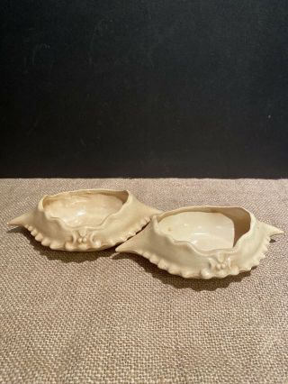 Set Of 2 Ceramic Crab Shells