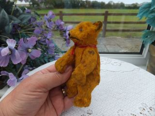 Rare Old Vintage Antique Miniature Wire Jointed Golden Teddy Bear Toy C1920 - 30