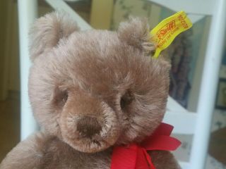 Caramel Mohair Steiff Teddy Bear Ean 0202/26 Austria 9.  5in Euc
