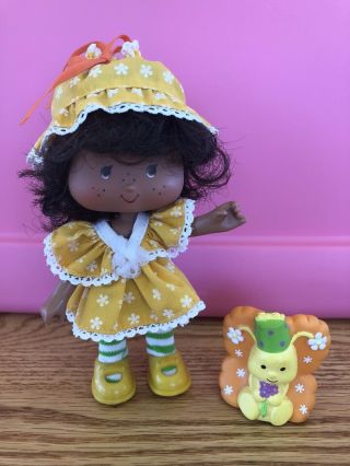 1980s Kenner Strawberry Shortcake Doll Party Pleaser Orange Blossom & Pet