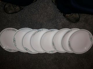 8 - Corelle By Corning,  10 1/4 Inch Dinner Plates
