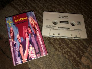 Gin Blossoms “hey Jealousy/29” (cassette Tape Single,  1992)