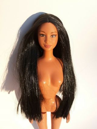 Native American Northwest Coast Barbie Doll Of The World Raven Hair Goddess Dotw