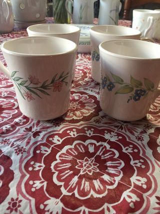 Set Of 8 Corning Corelle Pattern My Garden - Mugs / Cups - 3.  5 "