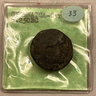 Cyrenaica - Cyrene - Ancient Greece (bc C.  250) - Ancient Copper Coin