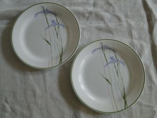 Set Of 2 Corning Corelle Shadow Iris Pattern 7¼ " Bread & Butter Plates