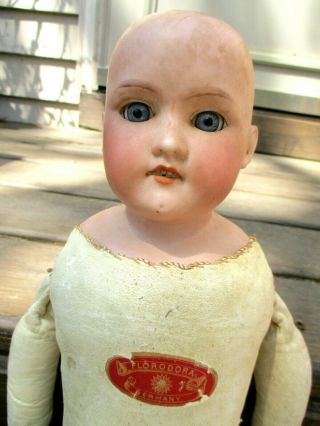 Antique Germany Floradora 22 " Doll Bisque W/joint Leather Body Sleepy Eyes Teeth