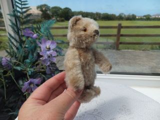 Miniature 5.  5 " Antique Jointed Mohair Teddy Bear Wood Straw Fill Vintage Steiff
