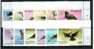 St Kitts 1981 Birds Set To $10 Official Opt Mnh