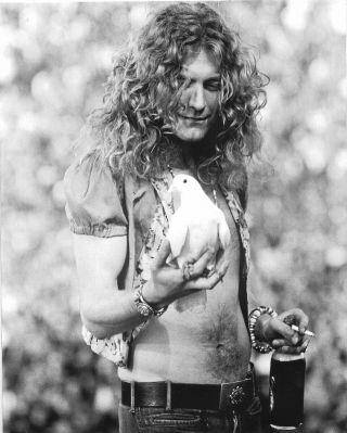 Led Zeppelin Glossy 8x10 Photo Robert Plant
