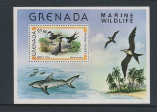 Grenada - 1979,  Marine Wildlife,  Sooty Tern Bird Sheet - Mnh - Sg Ms1016