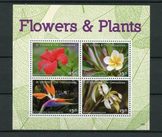 St Vincent & The Grenadines 2016 Mnh Flowers & Plants 4v M/s Hibiscus Frangipani