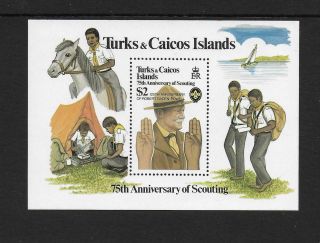 1982 Turks & Caicos Islands Boy Scouts Minisheet Sg Ms694 Unmounted