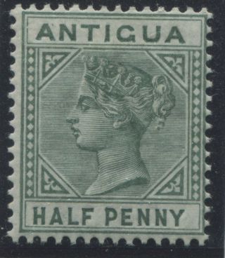 Antigua Qv 1882 1/2d " Top Left Triangle Detached Variety " O.  G.  Hinged