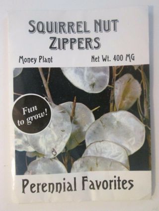 Squirrel Nut Zippers Perennial Favorites 1998 Promo Seed Pack Katherine Whalen