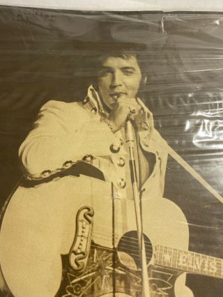 VINTAGE Elvis Presley Concert Photo 11 X 14 Cardboard Backing Plastic Preserved 2