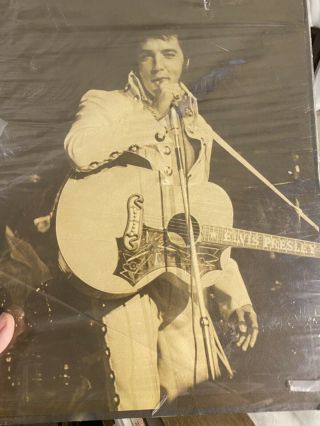 VINTAGE Elvis Presley Concert Photo 11 X 14 Cardboard Backing Plastic Preserved 3