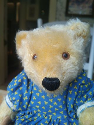 Antique Vintage 1960s Steiff Teddy Bear Blond Germany 9in Vgc