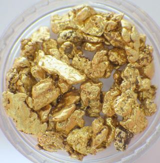 Gold Nuggets 15.  557 Grams Natural Placer Alaskan 8 Swift Creek Hi Purity.  5 Toz