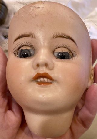 Antique 3 1/2 " French Bisque Sfbj 60 Fixer Upper Doll Head