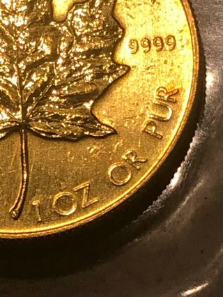 Gold Coin Canada Maple Leaf 1 Ounce 31.  1 Grams Pure Gold 1984 - Uncirculated