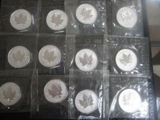 12 Silver Maple Leaf.  9999 1 Oz " Roman Zodiac Privy Mark " Cellophane Rcm