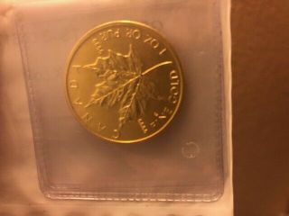 1 Oz Canadian Gold Maple Leaf Coin (random Year, )