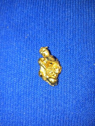 17.  9 gram Gold Nugget high purity 2