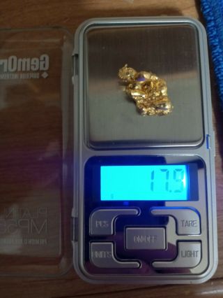 17.  9 gram Gold Nugget high purity 3