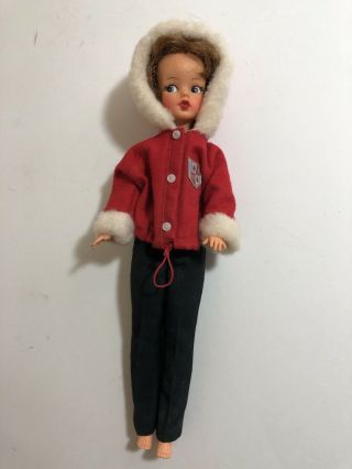 Vintage Ideal Toy Corp 12 " Tammy Doll Bs - 12