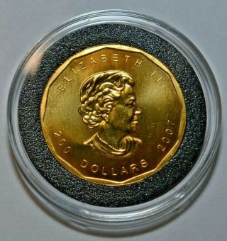 Canada 2007 Maple Leaf 1 Oz.  $200.  00 Bullion Coin 31.  11 Grams