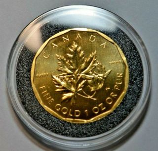 Canada 2007 Maple Leaf 1 oz.  $200.  00 bullion coin 31.  11 grams 2